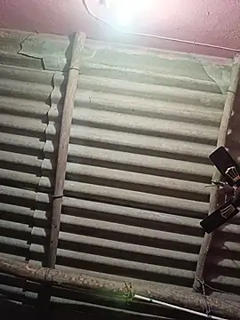 Snapshot of reya743 chatting on November 15, 10:19 am reya743 online show from November 15, 10:19 am