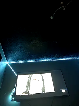 Snapshot of Painstickwes chatting on February 5, 9:54 pm Painstickwes online show from February 5, 9:54 pm