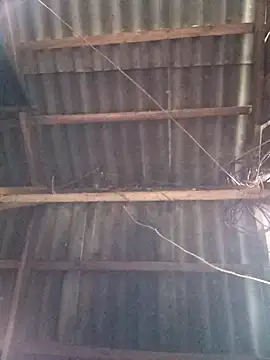 vtmbae online show from November 2, 1:10 am