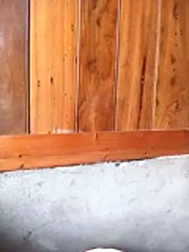 Mai lovely online show from February 27, 3:51 am