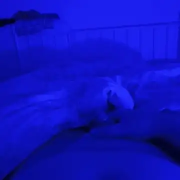 Geilerboy262 online show from November 9, 12:36 am