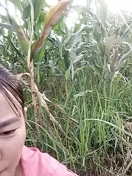 Snapshot of Meomeo-meo chatting on October 29, 1:04 am Meomeo-meo online show from October 29, 1:04 am