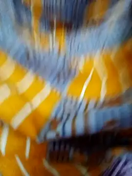 tamil Boomika online show from December 23, 12:11 am