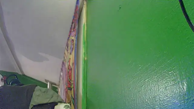 Snapshot of HippieDad333 chatting on November 11, 3:12 am HippieDad333 online show from November 11, 3:12 am