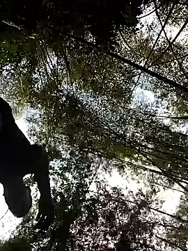 LucasGaeel online show from April 5, 8:37 pm