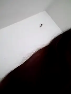 Snapshot of MamyRico chatting on October 11, 3:57 pm MamyRico online show from October 11, 3:57 pm