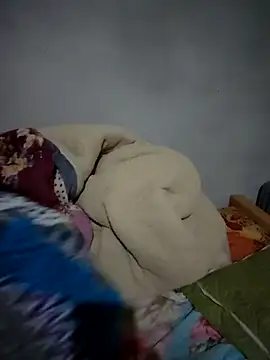 Meoweo 23 online show from November 18, 8:45 pm