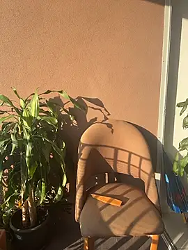 itsdanividarte online show from November 11, 9:42 pm