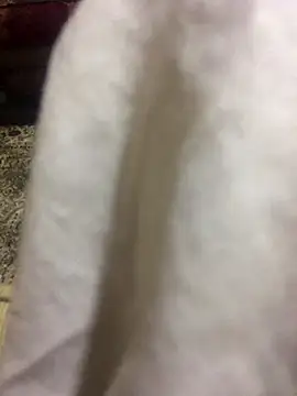 Snapshot of Yassesexy chatting on October 4, 12:23 am Yassesexy online show from October 4, 12:23 am