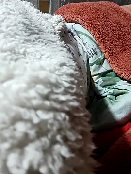 Paul-paul11 online show from January 7, 9:53 pm