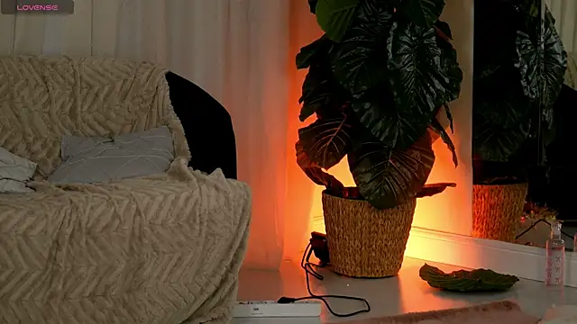 EvaAmanti online show from January 11, 4:41 am