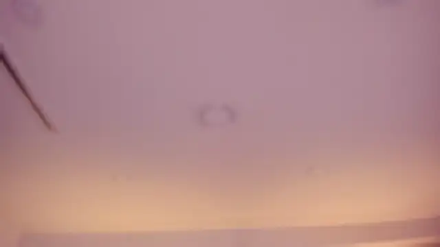 Violeta dh online show from April 4, 11:17 am