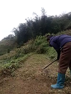 zhen-zo online show from October 31, 2:19 am