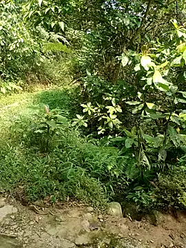 Snapshot of nhinhi-sexy chatting on October 10, 5:52 am nhinhi-sexy online show from October 10, 5:52 am