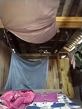 lmc-zz online show from October 21, 3:39 am