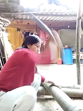 lmc-zz online show from November 30, 2:56 am