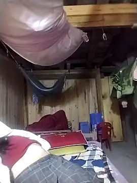 lmc-zz online show from November 6, 1:48 pm