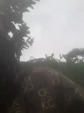 bree-zz online show from November 13, 12:47 am