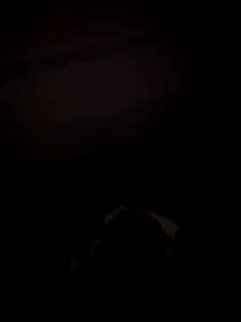 sseli online show from October 8, 4:14 am