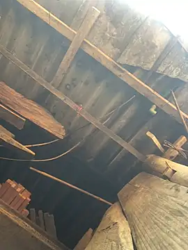 July sexy69 online show from April 6, 3:13 am