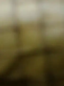 Snapshot of Rs_sonam chatting on December 3, 10:58 am Rs sonam online show from December 3, 10:58 am