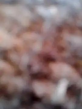 Snapshot of Rs_sonam chatting on February 6, 2:51 am Rs sonam online show from February 6, 2:51 am