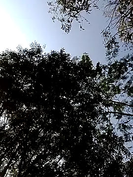 Snapshot of Rs_sonam chatting on February 14, 3:51 am Rs sonam online show from February 14, 3:51 am