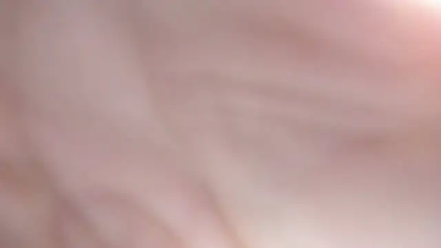 sackstor online show from September 17, 6:54 pm