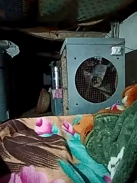 Lona2525 online show from February 16, 8:40 pm