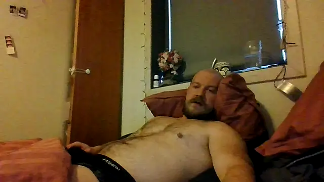 Real viking online show from November 15, 11:03 am