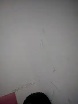 Hailaw online show from October 22, 12:15 pm