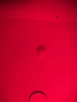 bellacagyal online show from February 11, 10:48 am