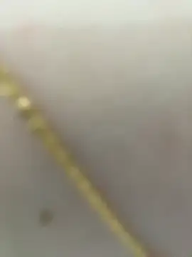 lee ly online show from March 21, 1:26 pm