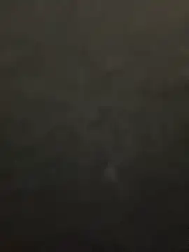 lee ly online show from December 15, 11:38 am