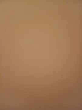 Sali ji online show from February 21, 1:07 am