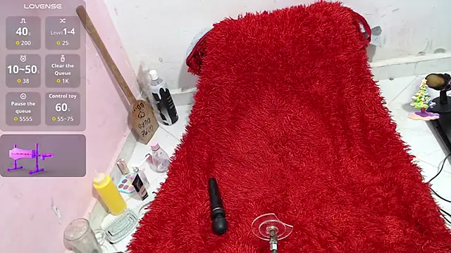 codorniz2025 online show from November 1, 9:58 am