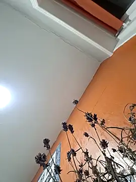 Hotboy-534 online show from March 25, 10:52 pm