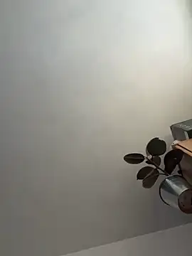 Snapshot of UnitedMap1 chatting on November 20, 2:51 pm UnitedMap1 online show from November 20, 2:51 pm