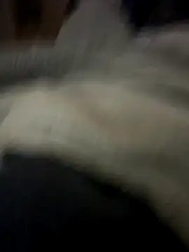 Snapshot of UnitedMap1 chatting on November 22, 1:59 am UnitedMap1 online show from November 22, 1:59 am