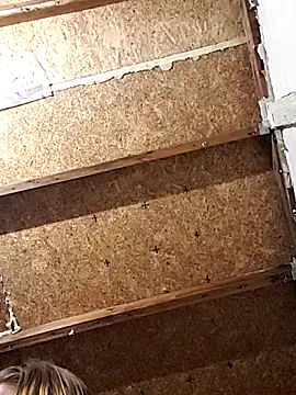 Queen2454 online show from March 6, 9:37 am