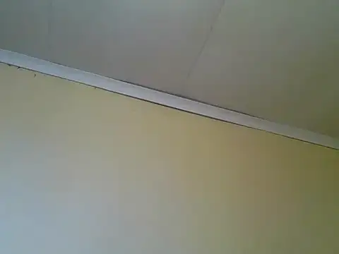 carrie tee online show from November 11, 8:42 am