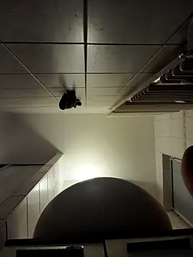 Snapshot of stivi2526 chatting on November 27, 7:25 pm stivi2526 online show from November 27, 7:25 pm