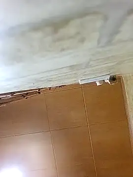 Snapshot of Apeesynka55211 chatting on October 19, 4:32 pm Apeesynka55211 online show from October 19, 4:32 pm