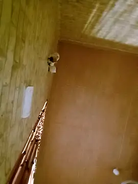 Snapshot of Apeesynka55211 chatting on November 1, 7:24 am Apeesynka55211 online show from November 1, 7:24 am