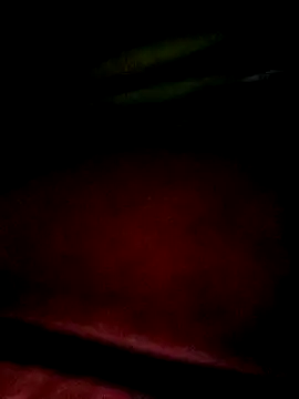 Snapshot of Apeesynka55211 chatting on January 18, 7:17 pm Apeesynka55211 online show from January 18, 7:17 pm