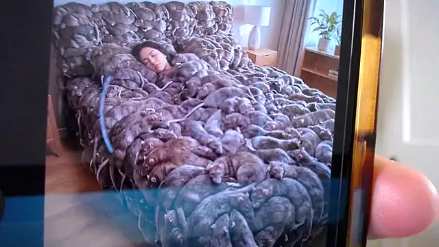 naughtyfox89 online show from March 18, 3:31 am