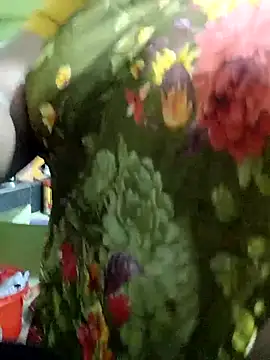 harinisree online show from November 19, 3:06 am