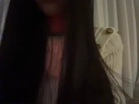 xiaowan x online show from January 11, 1:07 pm