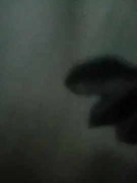 Snapshot of Mssbig chatting on November 4, 11:36 am Mssbig online show from November 4, 11:36 am