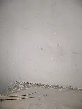 PEEHU-50 online show from November 12, 11:30 pm